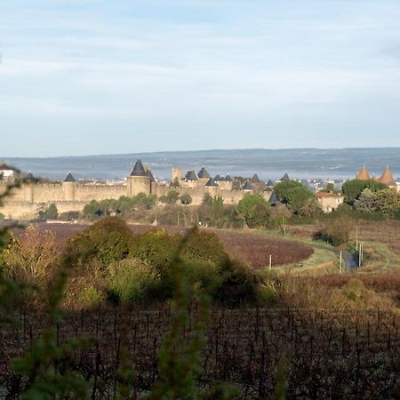 Villa Des Cathares Carcassonne Exterior photo