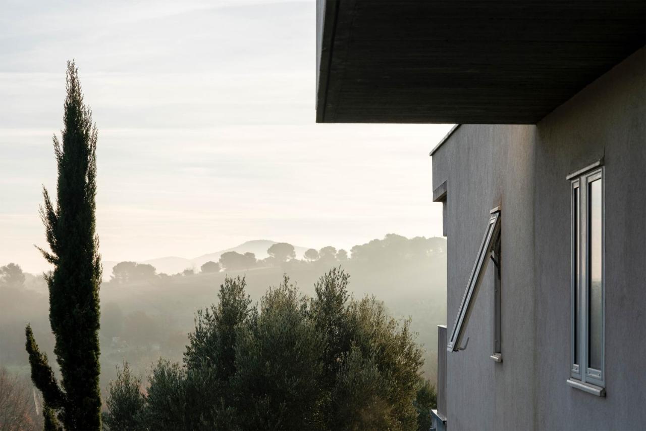 Villa Des Cathares Carcassonne Exterior photo
