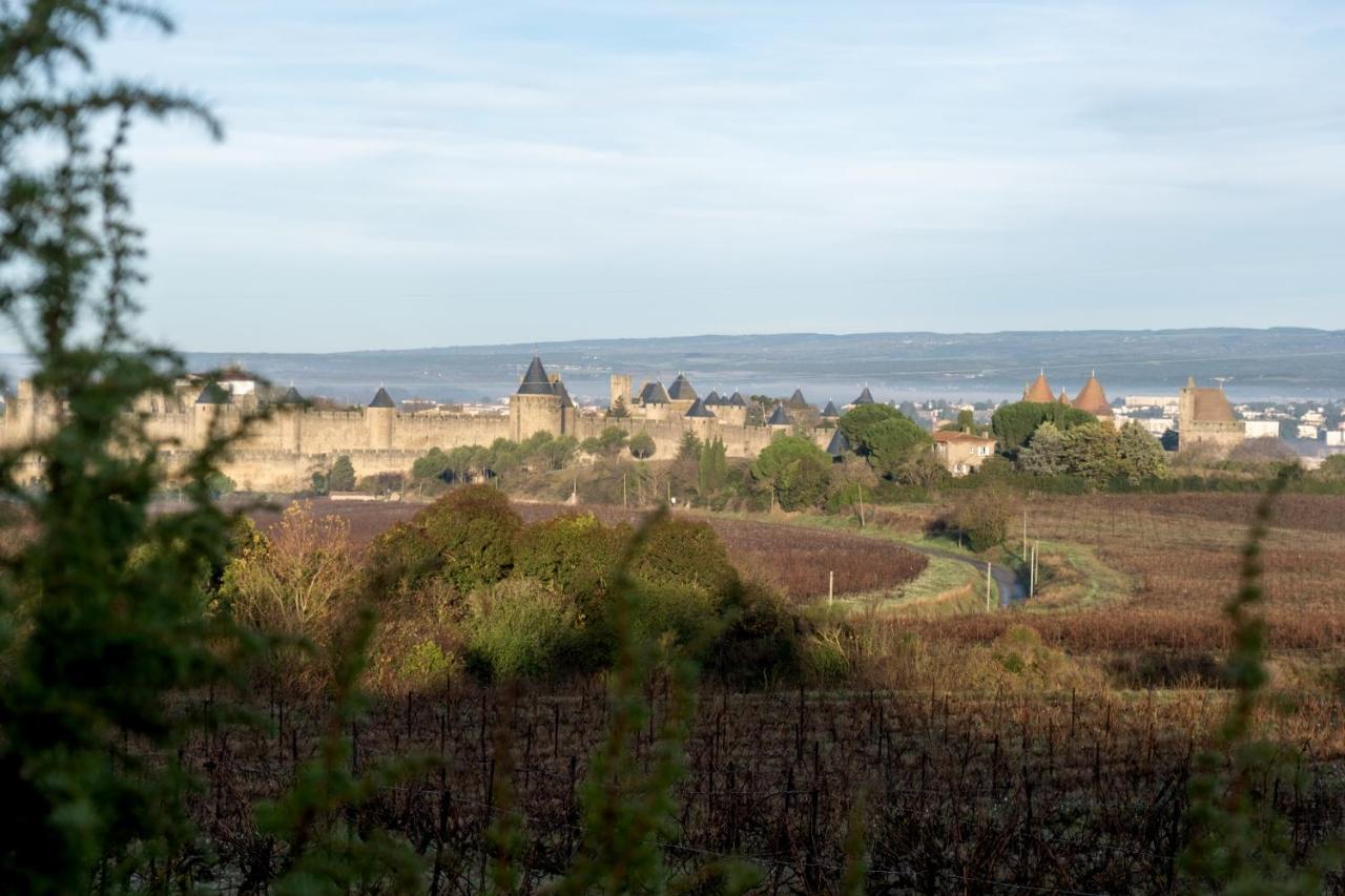 Villa Des Cathares Carcassonne Exterior photo
