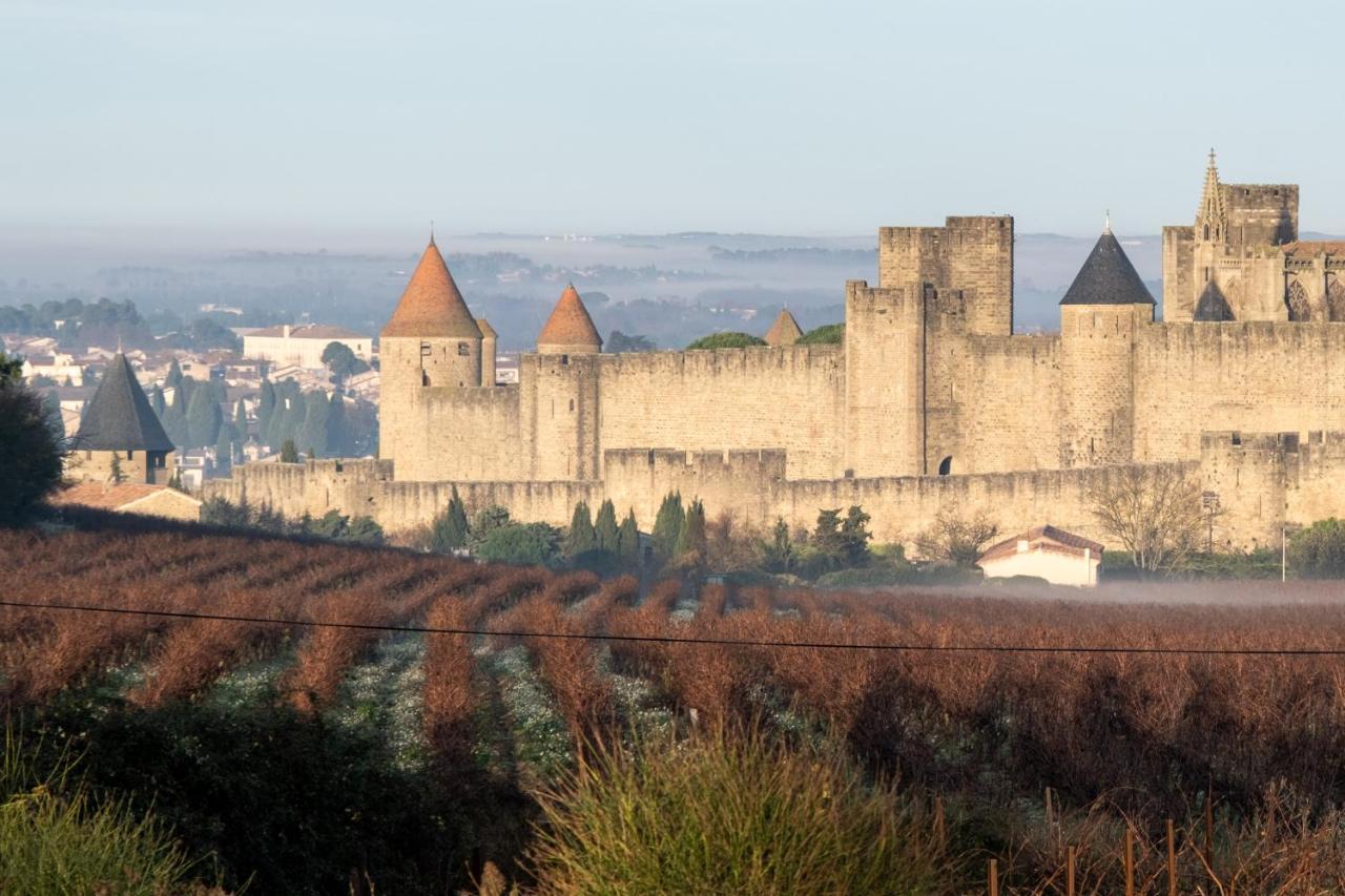 Villa Des Cathares Carcassonne Exterior photo