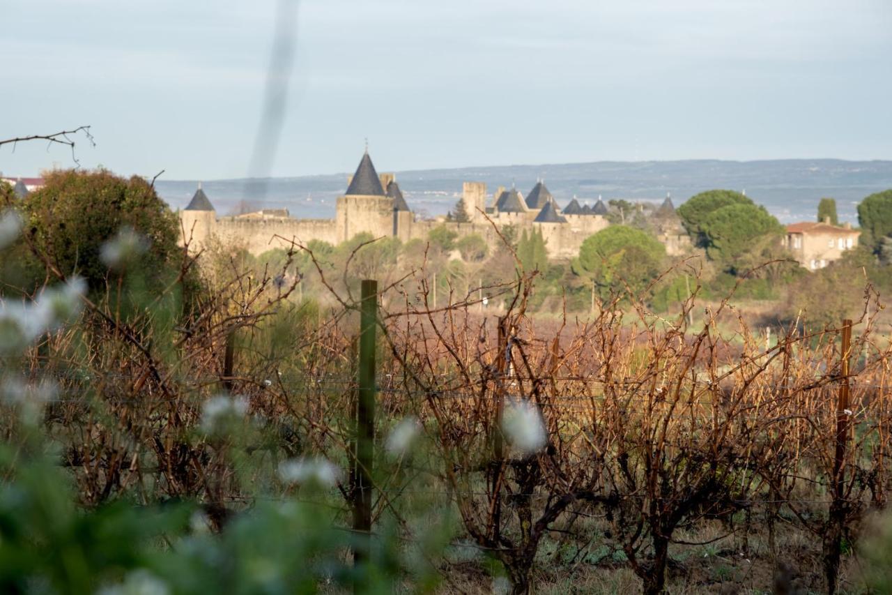 Villa Des Cathares Carcassonne Exterior photo